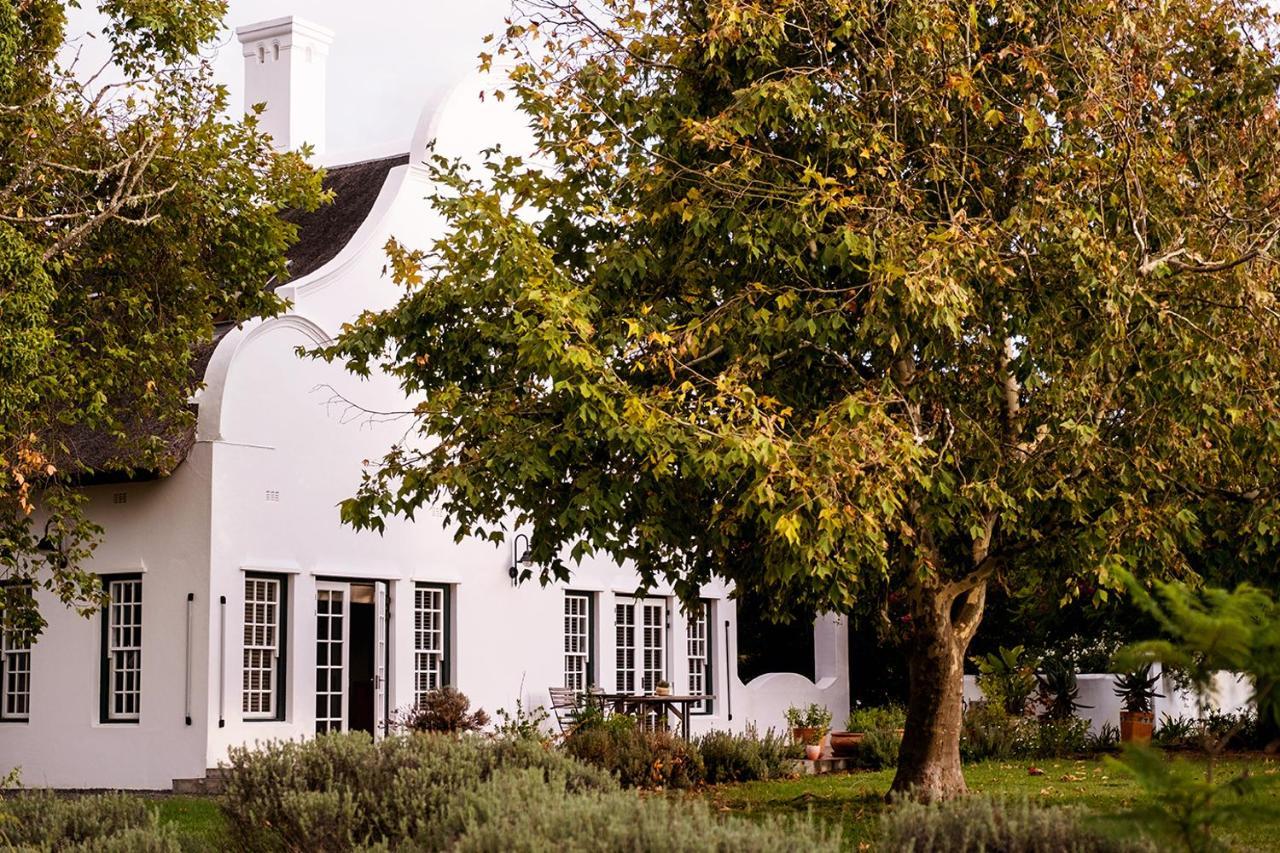 Villa Jacaranda Wine And Guestfarm Wellington Exterior foto