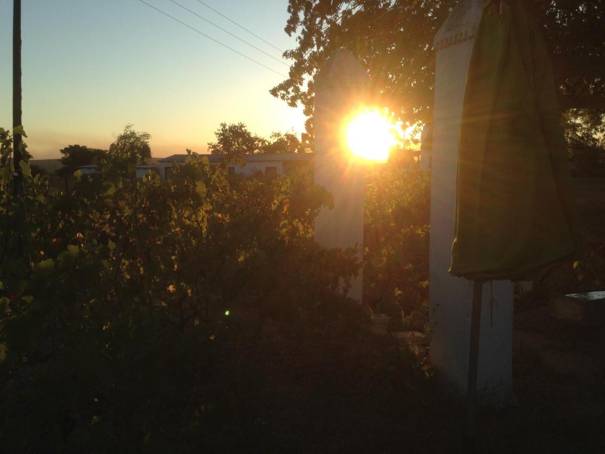 Villa Jacaranda Wine And Guestfarm Wellington Exterior foto