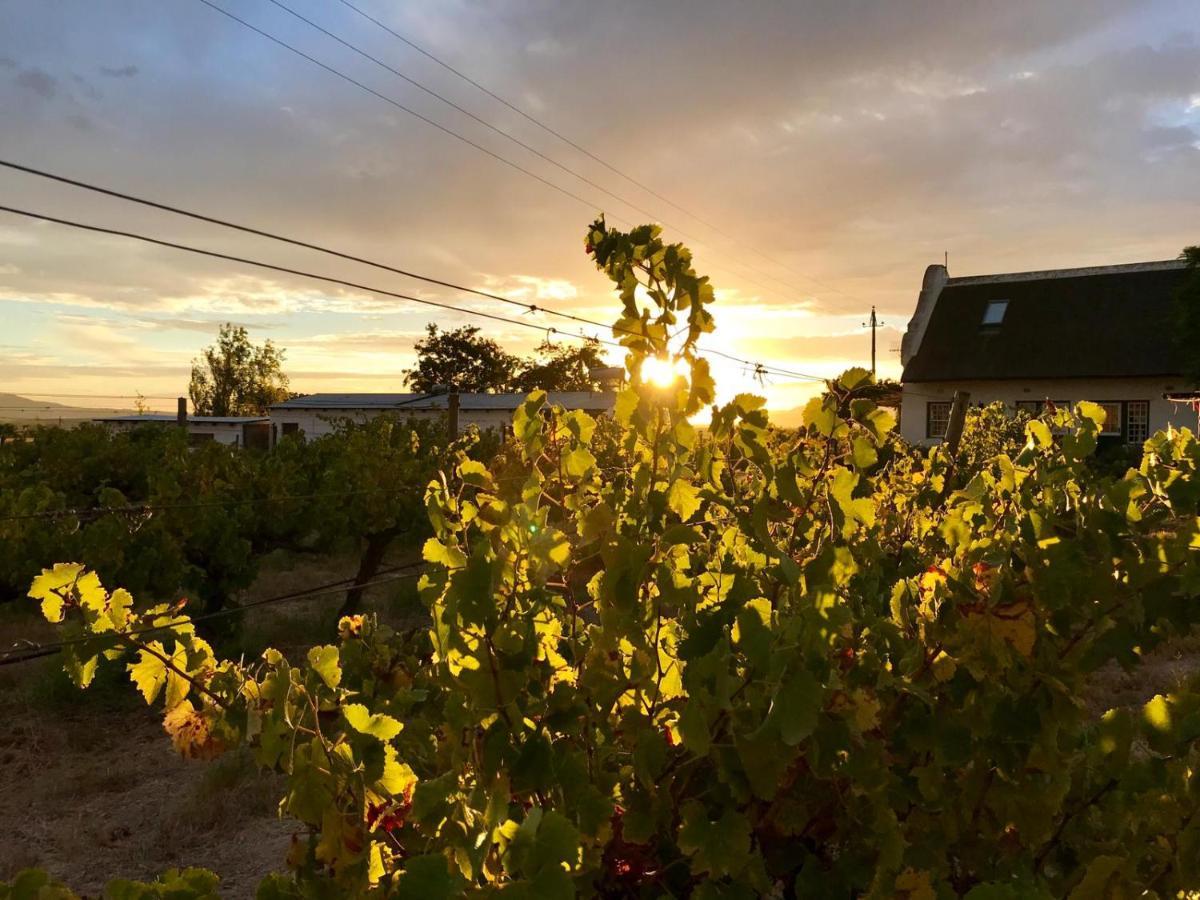 Villa Jacaranda Wine And Guestfarm Wellington Exterior foto