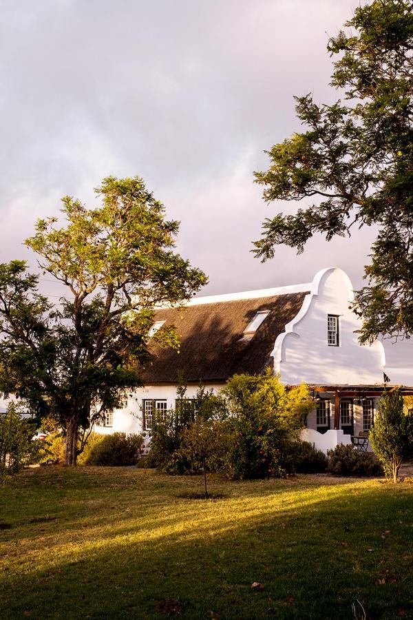 Villa Jacaranda Wine And Guestfarm Wellington Exterior foto